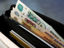 В 2016 году региональный фонд микрофинансирования оформил микрозаймов на 60 млн рублей