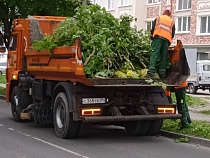 В Калининграде с Красносельской грузовиками вывозят ветви липы и сирень