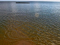 В Калининграде подсчитали, сколько стоит не утонуть