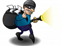 Калининградские полицейские раскрыли 8 краж за сутки