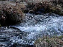Компания «ЛОРРИ ИНВЕСТ» незаконно пользовалась «каналом ФР-6-7» и сбрасывала в него загрязняющие вещества
