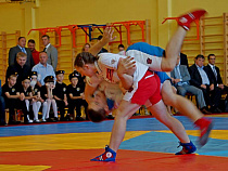 Мэрия даёт 4,8 млн рублей на культуру, спорт и молодёжь