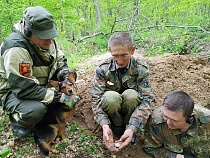 В Воронеже и Перми нашли родных погибшего под Кёнигсбергом солдата