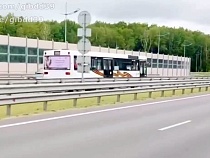 Назван маршрут автобуса с пьяным водителем в Калининграде
