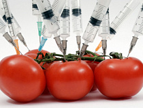 В России запретят использование сельхозрастений с ГМО