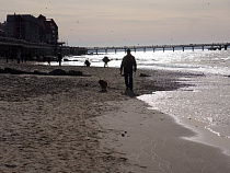 Составность электричек до Светлогорска и Зеленоградска увеличат на выходные