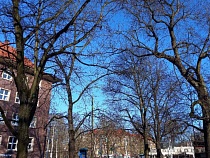 Назван последний сухой день в Калининградской области