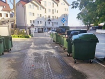 В Зеленоградске распространяется смрад на улицу по дороге к парку