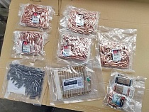 Немец вёз в Калининградскую область пули и гильзы 