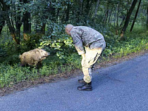 Нацпарк “Куршская коса”: госинспекторы сделали внушение многодетным самкам (фото)