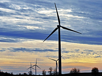 В Калининградской области построили нелегальный ветропарк  (дополнено)