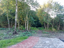 Алиханов объявил весь Суздальский лес зелёной зоной